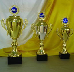 西安激光雕刻奖牌奖杯制作价格 西安激光雕刻奖牌奖杯制作型号规格